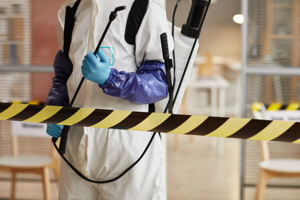 Professional Blood Cleanup technician working in Echo Lake, CA