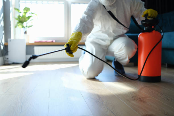 Trusted Crime Scene Cleanup service in Echo Lake, CA - Four Month Blood Cleanse